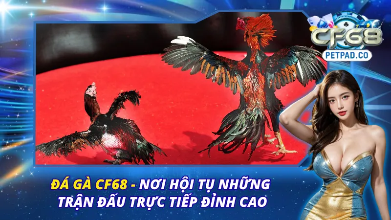 Đá Gà CF68