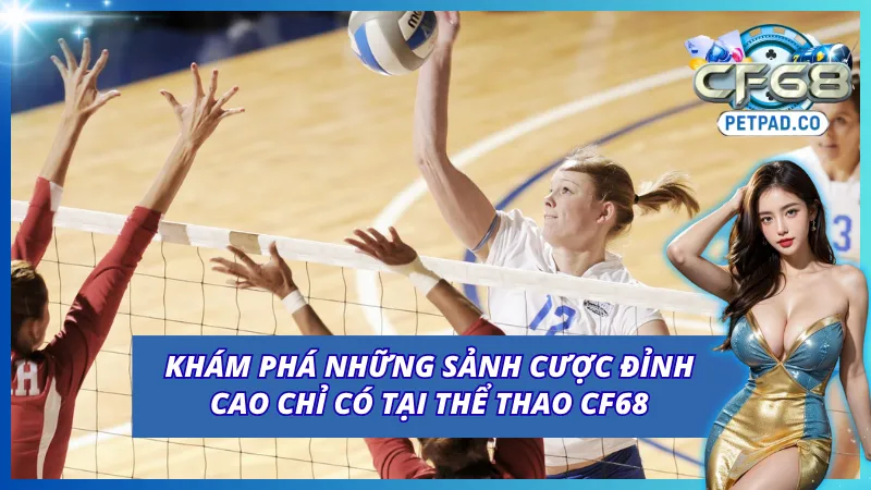 Thể Thao CF68 - Cá Cược Đỉnh Cao Với Tỷ Lệ Cược Hấp Dẫn 4 Những sảnh cược uy tín hàng đầu thế giới