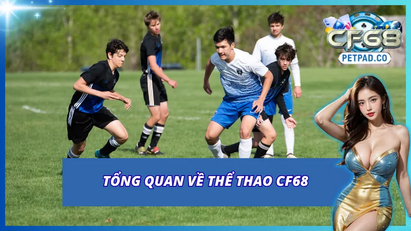Thể Thao CF68 - Cá Cược Đỉnh Cao Với Tỷ Lệ Cược Hấp Dẫn 2 Khám phá thể Thao CF68